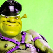 052 Шрекатрон (newski)