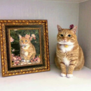 芒果(随机赢对)