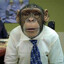 Monkey Business
