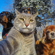 你在我心里永远是小宝