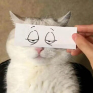 饿了饿了饿了么