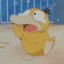 Don&#039;t nut on Psyduck