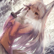 北海道キタキツネ