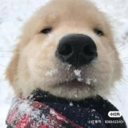 超超超超超级帅