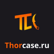 ВКИДЫШЬ thorcase.ru