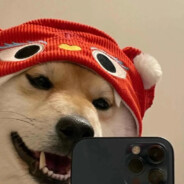 小打小闹没脾气