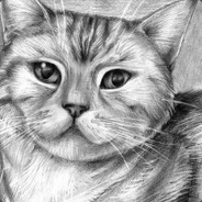 супер коттттт