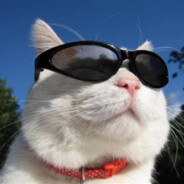 不学无术的可乐