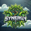 SYNERGY vardey^^