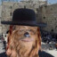 Jewbacca