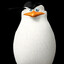 Skipper