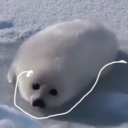 seal