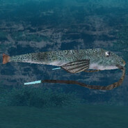 Great Cat Fish! 1000 Pts!