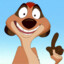 Timon