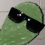 El cactus facherito