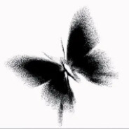 蝴蝶眨几次眼睛