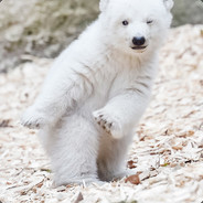 SlouchyBear
