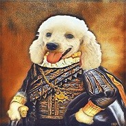 Lord.Poodle
