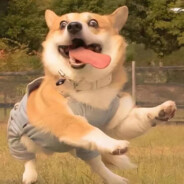 青天有月来几时