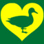 IHeartMyDucks