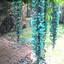 aaaa