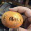 戀愛給你們談我彈塗魚
