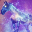 The Starhorse