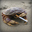 Common_Crab