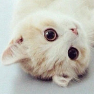 磁场转动一百万匹  帝皇爆破拳！