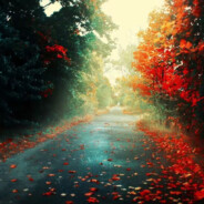 借一程山水陪她年少