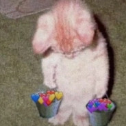 喜欢最终败给合适