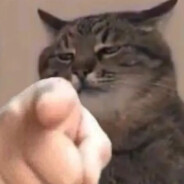 请别对我指指点点