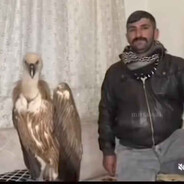 ÇırpaR