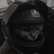 learner driver