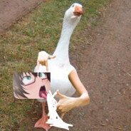 sakai