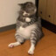 CurrentlySleeping