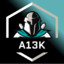 A13K