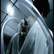 Mst avatar
