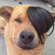 Abubu bin uvuvwevwevwe