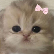NuMi ☆