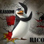 Black Ace KIng