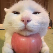 奶冻