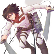 ❤️Mikasa_Ackerman❤