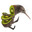 Kiwi :3