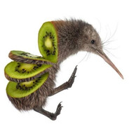 Kiwi :3