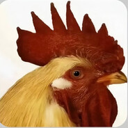 农场第一狙鸡手