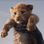 💔💔Simba💔💔 SKINS
