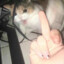 luluZI