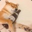 DkDrunkDoge