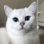 Caty_noar123